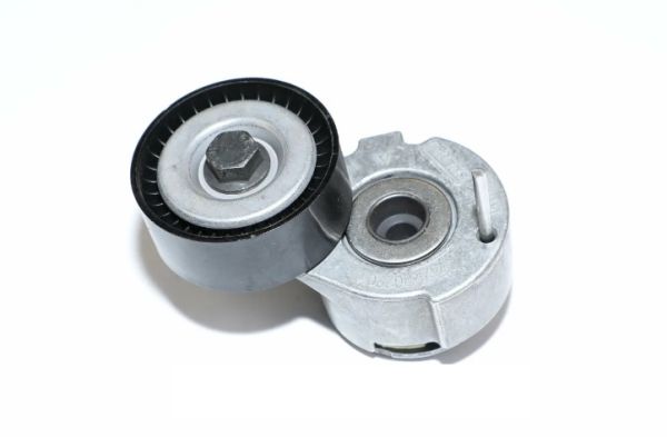 Натяжитель ремня дв.405,409,4216,Evotech A274 (WENZHOU SHENGTUO AUTO PARTS CO.,LTD g-PART) /PR.4216.1029010/