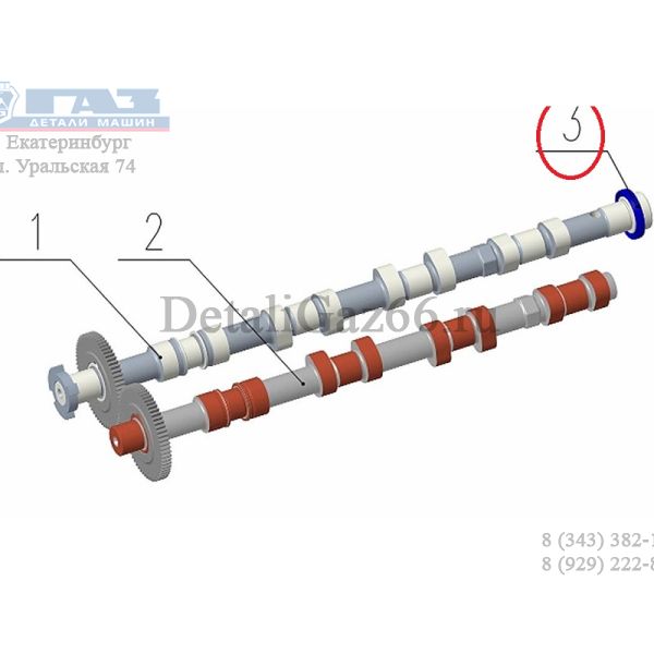 Сальник р/вала впускного дв. серии "G" (Foton ГАЗ Оригинал) /.РV10001781/