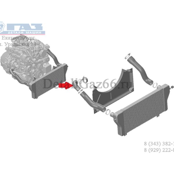 Патрубок нагнетательный к ТКР ГАЗель NEXT (ПАО "ГАЗ" Оригинал) /А21R32-1172066/
